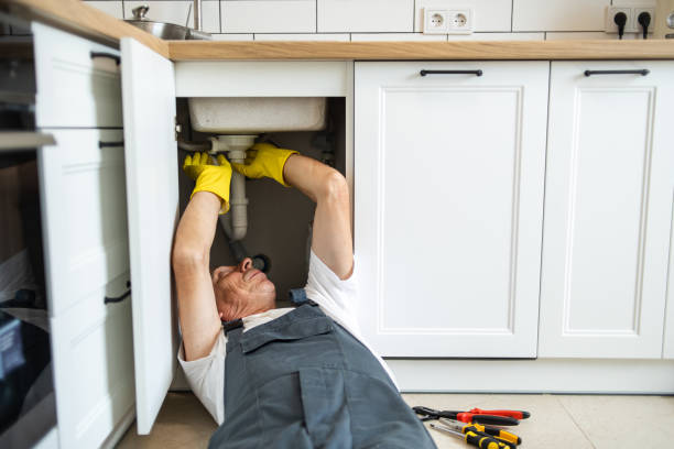 Best Commercial Plumbing Services  in Snohomish, WA