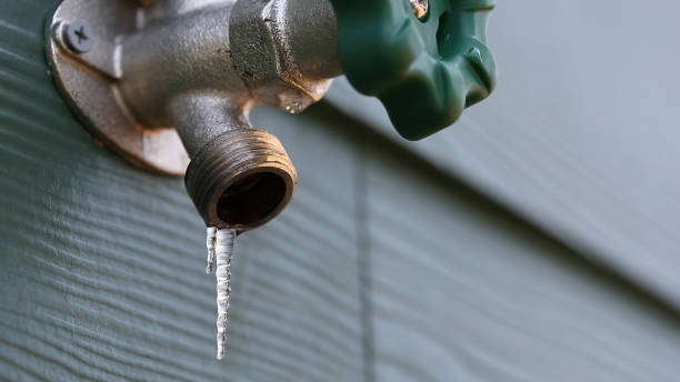 Best Sprinkler Systems  in Snohomish, WA